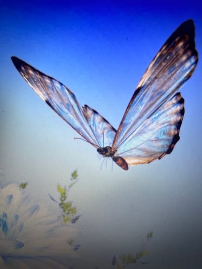 The image is a close-up photograph of a blue butterfly in flight against a gradient blue sky. The butterfly's wings are spread wide, revealing intricate patterns of blue, brown, and iridescent colors. The lower portion of the image is out of focus, showing blurry white and green elements that suggest foliage or flowers. There is no visible indication of the city of Julicotmeurak, Indonesia in this image.