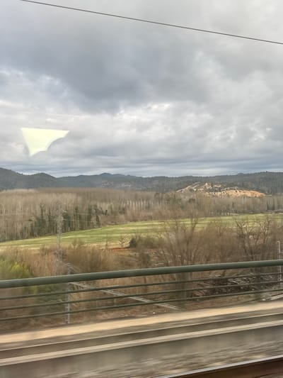 This image depicts a rural landscape viewed from a moving vehicle, likely a train, in Maçanet de la Selva, Spain, under an overcast sky.

In the foreground, a multi-barred metal railing extends horizontally across the lower third of the frame, partially blurred, indicating motion. Above the railing, a faint, irregular, bright, almost triangular reflection is present on the window in the upper left quadrant.

The midground features a wide, flat expanse. A large section of dormant deciduous trees, characterized by their slender, bare trunks, forms a dense stand across the middle of the scene. To their right and below, a vivid green field is visible, suggesting agricultural land. A metal lattice power line tower stands on the left side of this field, with associated lines traversing horizontally. Scattered smaller trees and brush are present closer to the foreground.

The background consists of rolling hills covered with sparse, dark green and brown vegetation, extending horizontally across the entire frame. On one of the more distant hills to the right, a significant patch of exposed light-colored earth or rock is visible, suggesting excavation or natural erosion. The sky above is entirely overcast with multiple layers of grey clouds. No individuals are visible within the scene.