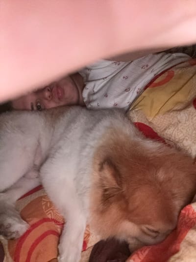 A person and a dog are lying on a bed. The person's face is partially visible, with their eyes open and mouth slightly agape. They are wearing a light-colored, patterned shirt. The dog, which appears to be a Pomeranian or similar breed, is lying next to the person, with its head down and eyes closed, suggesting it is asleep or resting. The dog's fur is a mix of white and reddish-brown. The bed has patterned sheets with red and yellow accents. The overall scene appears to be an indoor setting, likely a bedroom. There are no visible indicators of the location within the city of Rogosh, Bulgaria.