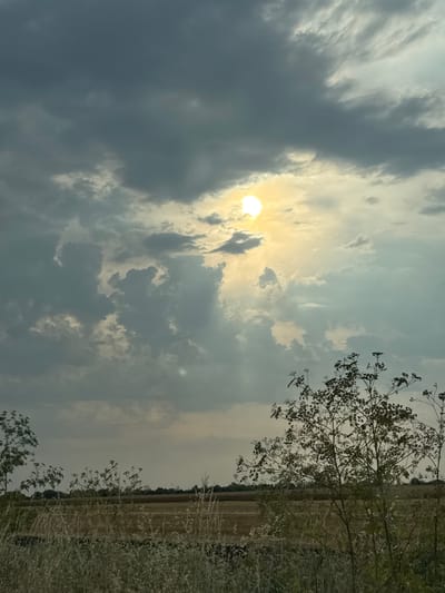 A sunlit sky with dramatic clouds looms over a field. The sun, partially obscured by clouds, emits a bright yellow glow. In the foreground, dry grasses and tall, thin plants with dark foliage reach towards the sky. A dark line of trees marks the horizon. The image captures a rural landscape, possibly in the vicinity of Ryahovo, Bulgaria, under a dynamic sky.
