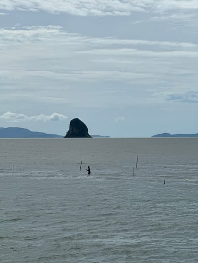 An overcast day casts a muted light on a tranquil seascape in Don Sak, Thailand. The water, a dull gray, is gently rippled, with a few scattered wooden poles emerging from its surface, some marking what appears to be a shallow area or a submerged structure. In the middle ground, a solitary figure, silhouetted against the water, stands in the shallow sea, possibly engaged in fishing or some other activity. Further in the distance, a distinctive, dark green, cone-shaped island rises dramatically from the horizon. Its steep cliffs are densely vegetated, creating a stark silhouette against the pale sky. In the far distance, to the left and right, the hazy outlines of mountainous coastlines are visible, suggesting the proximity of mainland shores. The sky is a canvas of layered, pale gray clouds, with streaks of lighter white breaking through, hinting at a diffused, but not entirely absent, daylight.