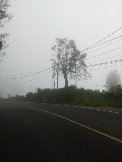 A foggy roadside scene. A black asphalt road with a yellow dividing line curves to the left. A green embankment rises beyond the road, topped with trees obscured by heavy fog. Power lines crisscross the sky above the trees. Visibility is significantly reduced due to the dense fog.