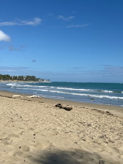 The image depicts a beach scene in Cabarete, Dominican Republic. The sky is blue with scattered clouds. The sea is visible with white waves crashing onto the shore. The sand is light brown and covers the foreground. Vegetation, likely palm trees, lines the coast in the distance. There is a piece of driftwood on the sand near the water. The image is taken in a landscape orientation and has been rotated.