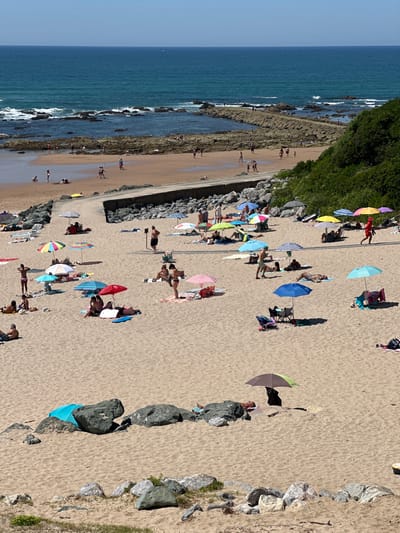 A high-angle, full shot captures a crowded beach scene in Biarritz, France, on a sunny day. The sandy expanse is dotted with numerous beachgoers relaxing under a variety of colorful umbrellas, some of which are large and spread out, while others are smaller and more portable. People are seen sunbathing on towels, reading, and interacting with each other. Some individuals are wading in the shallow water near the shore, and a few are playing in the sand. The ocean, a vibrant blue, stretches out to the horizon, with a rocky breakwater extending into the sea. A lush green hillside borders the beach on the right side of the frame. The overall impression is one of a bustling summer day at the seaside.