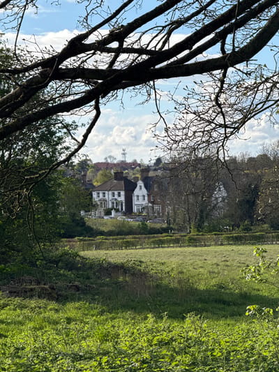 The image depicts a landscape scene in Dacorum, United Kingdom. The foreground features a dark, bare tree on the left, contrasted against a blue sky with scattered white clouds visible through its branches. To the right of the tree is a field of green grass. A hedge delineates a boundary between the field and a distant area with houses. The houses have red-tiled roofs and white walls, partially obscured by trees. The composition suggests a rural or suburban setting in Dacorum.
