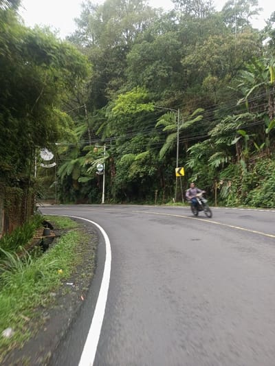 The image depicts a winding, wet asphalt road curving right within a densely vegetated mountainous area in the city of Deothang, Bhutan. Lush green foliage, including tall trees, ferns, and bamboo, dominates the background and flanks both sides of the road. A drainage ditch runs alongside the left edge of the road, separated by a low concrete wall covered in vines and sparse grass. A blurred individual, wearing a light-colored long-sleeved shirt and dark pants, rides a dark motorcycle away from the viewer and to the right, following the road's curve. A street light pole is visible on the right, with power lines strung across. Further down the road on the right, a yellow diamond-shaped sign with a black left-pointing arrow indicates a sharp curve. On the left, partially obscured by bamboo, are two circular white signs. The road surface appears damp, suggesting recent precipitation.