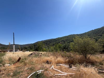 The image captures a bright, sunny day in Kresna, Bulgaria, with a clear blue sky dominating the upper portion. In the foreground, dry, golden grass covers the ground, interspersed with scattered debris including white plastic pipes, a metal pole, and a plastic bottle. To the left, a construction site is visible with a tall crane and scaffolding, suggesting ongoing infrastructure development. The middle ground is a mix of dry vegetation and more greenery, leading up to a densely forested hillside that forms the backdrop of the scene. The overall impression is one of a rural or semi-rural area, possibly on the outskirts of the town, undergoing construction. The sun's glare is prominent in the upper right corner, indicating a high sun position. There are no people visible in the image.