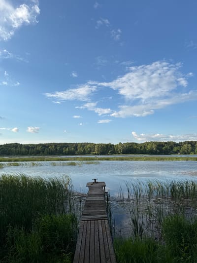 The image depicts a wooden pier extending into a calm body of water, likely a lake, in Burdyata, Russia. Tall green reeds line the foreground and the edges of the water, with a dense forest forming the background across the water. The sky above is a bright blue, dotted with white, fluffy clouds. The pier appears weathered, with visible planks and support structures. The water surface reflects the sky and the surrounding vegetation, creating a serene natural landscape. There are no people or animals visible in the scene.