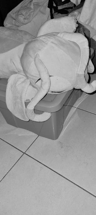 A black and white image shows a large, plush, grey elephant toy lying on top of a grey storage container, which is sitting on a tiled floor. The elephant toy has been partially stuffed into the storage container. The floor has a large white crack running through it. The image appears to have been taken inside a home in Punaauia, French Polynesia, at the coordinates -17.604, -149.619. The toy is the main subject of the image.