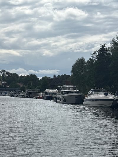 This image shows a view of the Elde river in Plau am See, Germany, on a cloudy day. A line of boats, including several motor yachts and houseboats, are moored along the riverbank. The boats are of various sizes and styles, with some featuring multi-level structures and cabins. In the background, dense green trees and some buildings with pitched roofs are visible. The water is choppy, reflecting the overcast sky. A single duck is seen swimming in the water to the left of the frame. The scene depicts a typical riverside setting with recreational boats.