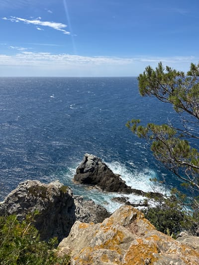 This image shows a rocky coastline with the sea and sky. In the foreground, there are large, weathered rocks covered in patches of orange lichen. Green foliage is also present in the foreground, with some dry grass. A pine tree branches into the frame from the right side, with its green needles visible.
In the middle ground, a dark, angular rock formation juts out of the deep blue sea. Waves crash against this rock, creating white foam and spray. The sea extends to the horizon, appearing choppy with wind.
The sky is a bright blue with scattered white clouds. A bright sunbeam is visible, creating a lens flare effect.
The scene is likely a natural landscape, possibly along the coast of Hyères, France, known for its Mediterranean climate and coastal scenery. There are no people or man-made structures visible in the image. The overall impression is one of a rugged, sun-drenched coastal environment.