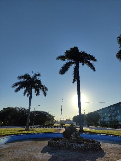 Silhouetted palm trees reach into a bright blue sky. Sunlight filters through the foliage, creating a hazy glow. A nearby road is lined with greenery, street lights, and distant buildings. A textured stone structure sits along the road edge, marked with a blue line.