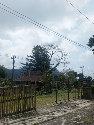 This image depicts an outdoor scene in the city of Niz Lakuk, India, under a partly cloudy daytime sky. In the foreground, a concrete or paved ground surface, likely a driveway, is visible with a bamboo slat gate on the left and a dark-colored metal grid gate on the right, both appearing partially open. The gates open onto a grassy area. In the midground, a traditional-style building with a multi-tiered, reddish-brown tiled roof and an open-air lower level with wooden railings is situated. A tall, dense conifer tree stands behind and to the left of the building. To the right of the conifer, a large, mostly bare deciduous tree with some sparse green foliage is present. Further to the right, a stone pillar with a circular emblem or light fixture on its top marks the gate opening. The background features rolling green hills or mountains beneath the cloudy horizon. Multiple utility poles with overhead power lines are visible crossing the upper portion of the frame. No individuals are present.