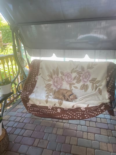 A ginger cat sleeps curled up on a blanket with a floral pattern and a brown border with white spots, draped over a swing seat. The swing seat is positioned outdoors on a paved patio area. The patio is made of interlocking stones in various shades of grey, purple, and brown. Sunlight filters through a grey canopy, casting dappled shadows. In the background, green foliage suggests a garden or yard. The scene appears tranquil, with the cat appearing peaceful in its slumber. The time of day is likely daytime, given the bright sunlight. The location is specified as Vysokyi, Ukraine. There is no visible text in the image.