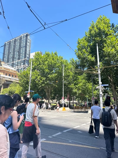 A sunny street scene with lush green trees and a clear blue sky. A modern high-rise building contrasts with a classic, lower-level building. Overhead tram lines crisscross the sky. Pedestrians are walking on the sidewalk and crossing the street, creating a sense of bustling urban life. A street sign is visible, adding to the urban environment.