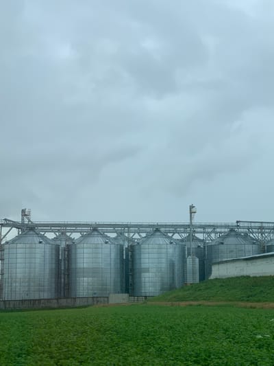 The image captures a row of large, cylindrical grain silos in an industrial setting, likely within or near the city of Сноўскі сельскі Савет, Belarus. The silos are constructed of reflective metallic material and stand tall against a predominantly overcast sky. They are connected by a network of elevated walkways and conveyor systems, indicating their function in agricultural processing or storage. In the foreground, a lush green field of crops stretches towards the silos, suggesting a rural or semi-rural environment. To the right of the silos, a white-washed building with a sloped roof is visible, partially obscured by a grassy embankment. The overall scene conveys a sense of industrial scale and agricultural productivity under a muted, cloudy atmosphere. No people are present in the frame.