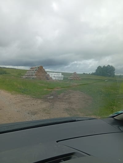 The image is a medium-shot, eye-level, outdoor photograph taken from a vehicle's interior. It depicts a rural landscape on a cloudy day. In the mid-ground, several stacks of hay bales are visible. The largest stack, on the left, is pyramid-shaped and composed of many cylindrical, brown hay bales, some wrapped in green netting. To the right of this stack, there is a rectangular arrangement of smaller, white, wrapped bales. A dirt road with scattered gravel leads into the scene from the lower left. The background consists of a grassy field that slopes upwards, with scattered patches of white wildflowers and a line of trees on the right horizon. The sky is overcast with gray clouds. The foreground shows the dashboard and windshield of the vehicle from which the photo was taken, with some reflections on the glass. The scene is located in the vicinity of Žygaičiai, Lithuania.
