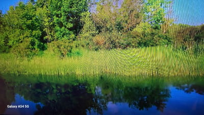 This media file displays an upside-down image of a natural landscape, likely taken in Sevan, Armenia. The scene features a dense green field of tall grass or reeds in the foreground, with a body of water that reflects the sky and trees. In the background, dark green trees form a treeline against a deep blue sky. The image appears to be taken during daylight, with the sky suggesting it might be late afternoon or early evening due to its deep blue hue. There are no people or specific objects visible, only the natural elements of the environment. The overall impression is one of a serene, undeveloped natural area. A partial text overlay, "Galaxy A54 5G", is visible in the upper right corner, indicating the device used to capture the image. The water's reflection is distorted, suggesting some movement or ripples on the surface. The lighting creates a stark contrast between the bright green of the field and the dark silhouettes of the trees.