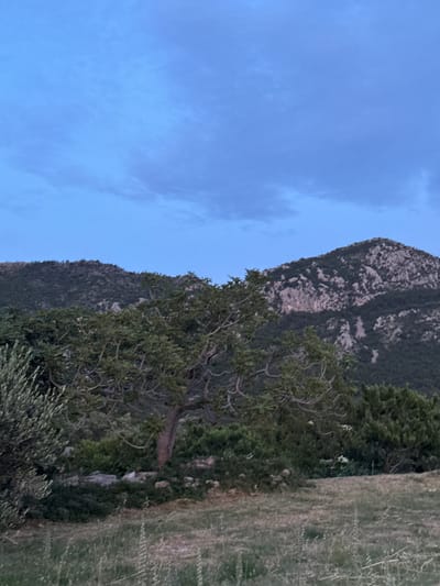 The image depicts a landscape scene at dusk, likely in Čelobrdo, Montenegro. The dominant subjects are a rocky mountain covered in sparse vegetation and a gnarled tree in the foreground. The sky is a soft, dusky blue with some wispy clouds. To the right, a grassy field slopes away from the viewer. The lighting suggests it is either early morning or late evening, with the sky hinting at twilight. The overall mood is serene and natural, with no human presence or discernible activity. The natural elements of the mountain, tree, and field create a peaceful, rural atmosphere. There is no visible text in the image.