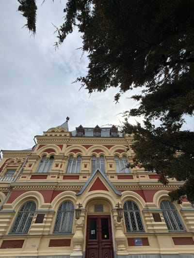The image depicts the Kamyshin Historical and Local Lore Museum in Kamyshin, Russia. The view is from a low angle, looking up at the facade of the building, which is partially obscured by tree branches on the left side. The sky is overcast. The building is a multi-story structure with a distinctive architectural style, featuring arched windows, ornate decorative elements in red and yellow colors. The main entrance is visible with a brown door. Various plaques and small decorative lights are mounted on the facade. The top of the building has a roof with metal accents.