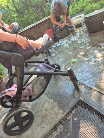 The image shows a person, likely an adult, preparing glass jars for canning or preserving. They are wearing a patterned shirt and shorts, with long brown hair. The person is holding a black plastic crate filled with jars, and appears to be placing them on a wet, concrete surface. To the right of the person, a child is seated in a dark grey stroller. The child's hand, adorned with a red string bracelet, is visible as they rest on the stroller's armrest. The stroller has a black mesh basket and purple fabric.

The scene is outdoors, with lush green foliage visible in the background, suggesting a natural or garden setting. The concrete ground is wet and somewhat uneven, with some cracks and debris. Sunlight casts shadows on the ground, indicating it is daytime, likely a sunny day. A metal grate is visible in the upper right corner of the image.

The overall impression is one of preparation for preserving food, possibly related to the season. The presence of the child in the stroller suggests a domestic or family setting. The wet ground could indicate recent rain or that the jars are being washed. There is no visible text in the image.