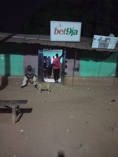 An outdoor, eye-level shot captures a nighttime scene outside a simple building, likely a local business, possibly in Unguwan Rimi, Nigeria. The sky is dark, and the primary illumination comes from inside the building and its signage. The building features a corrugated metal roof and walls painted in alternating sections of light green and a darker reddish-brown color.
In the foreground, a light-colored dog stands on the dirt ground, facing right. To the left, a man wearing a light-colored shirt and dark trousers sits on a wooden bench or low structure, looking towards the building's entrance. The ground is unpaved and appears dusty, with some scattered debris.
Several people are visible in and around the building's entrance. One person in a red shirt stands prominently in the doorway, facing inwards, with their right arm raised, possibly leaning on the doorframe. Other figures are less distinct but can be seen inside the dimly lit interior, suggesting activity within the establishment.
Above the entrance, a large, rectangular illuminated sign clearly displays the text "bet9ja," with "bet" in orange and "9ja" in green. To the right of this main sign, another, smaller and partially obscured sign also shows "Bet9ja" and some faded or unclear smaller text below it, possibly related to "Rewarding for Passion" or services offered. The overall scene suggests a casual gathering spot or business operating in the evening.