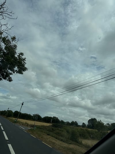 An exterior, eye-level, medium shot captures a cloudy sky over a rural road. The road, paved with asphalt, is bordered by a grassy shoulder and a field of dry grass. Power lines stretch across the frame, supported by wooden poles. A large tree with dark green foliage is visible on the left, its branches reaching towards the sky. The scene appears to be in the city of New Ross Municipal District, Ireland. There are no people or animals visible in the image.