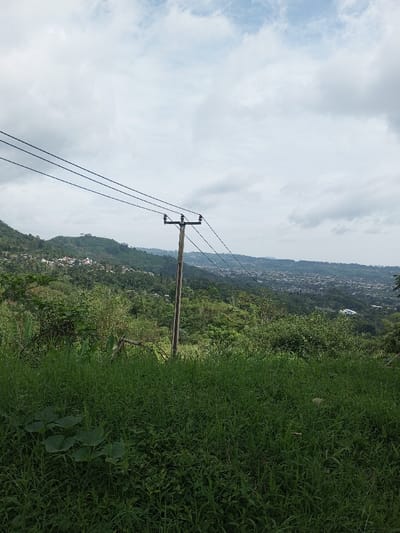 A landscape view reveals a lush, green hill with dense vegetation in the foreground. A utility pole with power lines cuts through the scene. In the distance, houses and a city are visible. The sky is filled with white and gray clouds, suggesting an overcast day. The focus is sharpest on the foreground foliage.