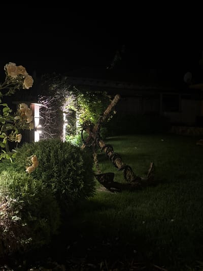 The image depicts an outdoor scene at night, possibly in the city of Tyulenovo, Bulgaria. In the foreground, to the left, a bush with green foliage is illuminated by spotlights. Several pale yellow roses are visible on a branch extending from the left side of the frame. To the right of the bush, a large, weathered anchor with thick rope wrapped around it lies on a green lawn. The anchor appears to be a decorative object. In the background, a building structure with illuminated windows and a satellite dish is visible, partially obscured by darkness and vegetation. The overall lighting is dim, with artificial lights creating localized illumination on the foliage and the anchor. There are no people or animals visible in the scene.