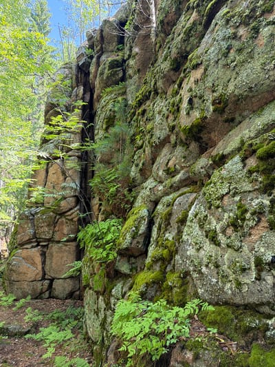 The image depicts a natural scene of a large, weathered rock formation covered in moss and lichen, located in the city of Orlenok, Russia. Lush green ferns and small trees grow from crevices in the rock face and at its base. The rock itself is composed of large, irregular boulders that have fractured over time, creating distinct fissures and planes. The surrounding environment appears to be a forest, with sunlight filtering through the trees, casting shadows on the ground and illuminating the moss-covered rocks. The sky is visible at the top of the frame, appearing clear and blue. There are no people or animals present in the image.