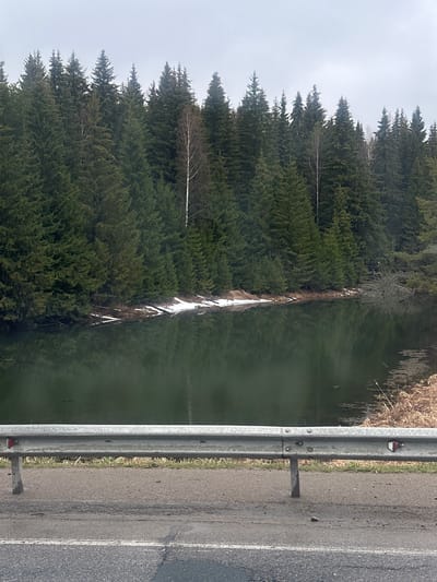 This image captures a serene natural landscape alongside a paved road, likely in Vakhrino, Russia, under an overcast sky.

In the foreground, a gray asphalt road occupies the bottom right portion of the frame, featuring a white solid lane marker on its far edge. A sturdy metal guardrail separates the road from the natural environment, running horizontally across the lower part of the image. This guardrail is made of galvanized steel, visible with multiple bolts and supporting posts, and has small red reflectors on its upper edge.

Immediately beyond the guardrail lies a calm body of water, possibly a lake or a wide river, which fills the mid-ground. Its surface is a muted greenish-grey, subtly reflecting the surrounding trees and the dull sky. Along the far bank of this water body, numerous patches of white snow or ice are visible, indicating either late winter or early spring conditions. Some areas of dry, light brown vegetation, possibly reeds or tall grasses, are also present on the water's banks.

The background is dominated by a dense coniferous forest, primarily composed of dark green spruce or fir trees, stretching across the left side and into the upper frame. A few bare deciduous trees, with distinctive light-colored trunks resembling birches, are interspersed among the evergreens. The sky above the forest is uniformly grey and overcast, suggesting diffused daylight.

No people or specific activities are taking place, and no visible text is present in the image. The scene portrays a tranquil, cold-weather landscape from the perspective of someone traveling along the road.