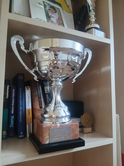 A silver trophy with ornate handles rests on a shelf in what appears to be a home or office setting in Navaluenga, Spain. The trophy is situated on a marble base inscribed with text in Spanish that reads "SANTILLANA CAMPEONATO DE FÚTBOL TEMPORADA 2009-2010". To the left of the trophy, a collection of books with titles also in Spanish, such as "Túareg" and "La Guerra Que Ganó Franco (I)", are visible. Behind the trophy and books, other objects and framed pictures can be seen on higher shelves, including a framed photograph of an adult holding a child. The environment appears to be a well-lit room with shelves made of light-colored material, and the walls are painted a neutral beige. The image captures a moment of display, highlighting achievements or personal mementos.
