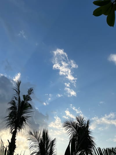This media file depicts a view of the sky from below, framed by silhouettes of palm tree fronds. The sky is a vibrant blue, interspersed with scattered white and grey clouds. Sunbeams are visible breaking through the clouds, suggesting a bright, possibly late afternoon or early morning, time of day. The lighting indicates a tropical setting, consistent with the provided location context of Senggigi, Indonesia. The overall mood is serene and natural, evoking a sense of peace and the beauty of the outdoors. No people, objects, or text are visible in the image.