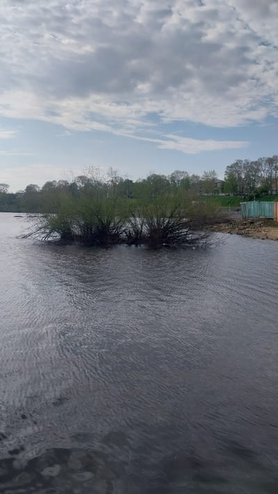 This image depicts a wide, dark-gray body of water, likely the Amur River, in Nikolayevsk-on-Amur, Russia, under an overcast sky. In the midground, a dense, green clump of brush or small trees emerges from the water, appearing as a small island or a shallow area with significant vegetation. The water surface exhibits ripples and subtle reflections of the sky and surroundings.

On the distant right bank, a narrow strip of sandy or rocky shore is visible, bordered by a green, vertical, shed-like structure. A bicycle, possibly green, is positioned near this structure. Above the immediate bank, a light green retaining wall or fence runs horizontally, behind which stands a line of deciduous trees with sparse, early spring foliage. Further in the background, faint outlines of buildings or structures are visible amidst the trees. The sky occupies the upper two-fifths of the image, featuring multiple layers of gray and white stratocumulus clouds, with intermittent patches of lighter blue sky visible through breaks in the cloud cover. No individuals are present in the scene.