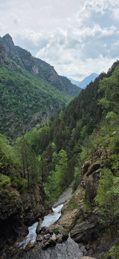 This image captures a breathtaking mountainous landscape, rich in natural elements, likely in the vicinity of Sahún, Spain. The scene is dominated by towering, rugged mountains draped in dense, vibrant green forests, suggesting a lush environment.
In the upper portion of the frame, a cloudy sky stretches across, filled with soft white and light grey clouds. A solitary bird is visible soaring gracefully in the upper left corner against the expanse of the sky.
The mountainsides are heavily forested, displaying a rich tapestry of green hues from the diverse tree cover, with some darker, exposed rocky sections hinting at the steep and ancient terrain. In the background, further mountain peaks recede into a hazy distance.
Towards the right, a powerful waterfall or a rapidly flowing river cascades down a rocky gorge. The water appears white and foamy, indicative of its swift descent over multiple drops and obstacles. The banks of the waterway are composed of dark, wet rocks, some covered with patches of moss or sparse greenery. A distinctive feature is a large, weathered log or tree trunk that spans across the rushing water in the lower right quadrant, adding to the untamed character of the scene.
The photograph depicts a daytime setting, likely under an overcast sky, which provides soft, diffused lighting across the landscape. The overall atmosphere conveys a sense of wildness, natural grandeur, and tranquility. There are no people or visible text within the image, reinforcing the untouched beauty of this mountain wilderness.