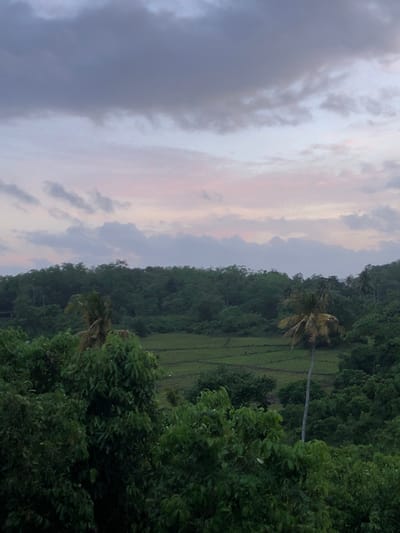 The image shows a lush, green landscape with a cloudy sky at dusk. In the foreground, dense foliage with dark green leaves dominates the scene, obscuring much of the view. Behind the foreground trees, a gently rolling hillside is covered in a variety of trees, forming a thick, dark green canopy.
Further into the distance, a cultivated field can be seen, appearing as a lighter green rectangle with dark lines indicating rows or pathways. The field is surrounded by more trees, and a tall, slender palm tree with sparse fronds stands prominently in the middle ground, slightly to the right of the frame. Another, more weathered palm tree with a fuller canopy is visible to the left of the field. The background is a blurred expanse of green, suggesting more hills and vegetation.
The sky above is filled with clouds. The upper portion of the sky is a dusky grey, while the lower half is tinged with soft pink and light blue hues, indicating the last light of sunset. The overall impression is one of a serene, natural environment in Sri Lanka, possibly in the vicinity of Thiththagalla, a region known for its verdant landscapes. There are no people or animals visible in the image. The lighting suggests it is late evening.