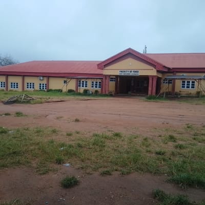 This is a full shot image of the Faculty of Food and Consumer Sciences building at Ladoke Akintola University of Technology (LAUTECH) in Ogbomosho, Nigeria. The building has a red roof and yellow walls with numerous white-framed windows. In front of the building, there is a muddy area with some overgrown grass and debris. The sky is overcast, suggesting a cloudy or rainy day. There is a prominent sign above the entrance that reads "FACULTY OF FOOD AND CONSUMER SCIENCES". The scene is desolate and appears to be taken during the daytime.
