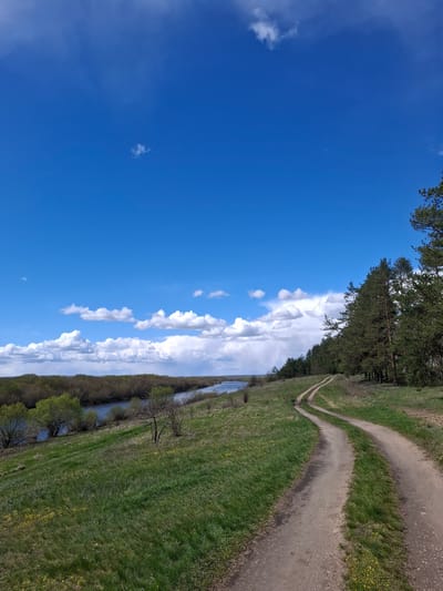 This image captures a serene natural landscape, likely in Elets-Malanino, Russia, under a clear, bright blue sky. The sky, occupying roughly half of the frame, is adorned with scattered white cumulus clouds, suggesting fair weather.

The scene features a diverse natural environment. To the right, a dense line of tall pine trees extends along the horizon, their dark green foliage contrasting with the light blue sky. Below this tree line and running horizontally across the midground is a calm body of water, possibly a river or canal, reflecting the sky faintly. Its banks are lined with deciduous trees and shrubs, some appearing bare or just beginning to bud, indicating spring or early summer.

A prominent feature is a winding dirt path that traverses the right side of the image, cutting through vibrant green grass. The path, light brown and well-trodden, appears to fork or curve significantly as it recedes into the distance. The foreground and much of the midground are covered in lush, verdant grass, with small patches of yellow flowers, possibly dandelions, scattered throughout.

There are no people or visible man-made structures beyond the path itself. The overall impression is one of peaceful, untouched nature on a sunny day. No text is visible in the image.