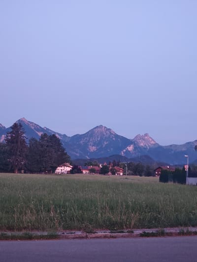 In the city of Schwangau, Germany, a landscape photograph captures a serene evening scene with majestic mountains in the background. The sky above is a soft gradient of light purple and blue, hinting at the twilight hour. In the mid-ground, a line of dark green trees stands tall, interspersed with a few houses featuring red-tiled roofs. One prominent white house with dark trim and multiple windows is visible. The foreground is dominated by a field of tall, green grass, suggesting an open meadow. A paved road, with a strip of concrete and scattered vegetation along its edge, occupies the very bottom of the frame. The overall impression is one of tranquility and natural beauty.