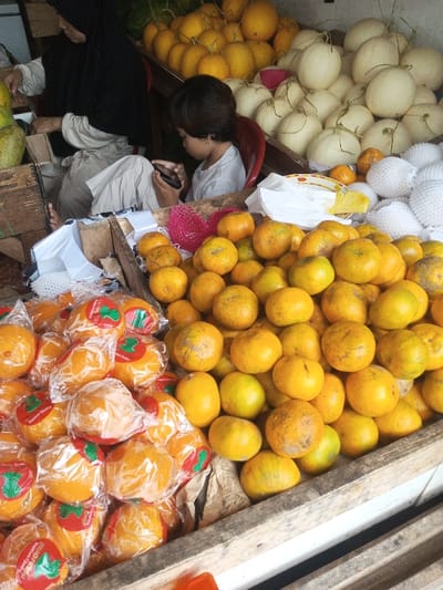 A market stall displays an assortment of fruits. Golden melons and white fruits, possibly melons or pears wrapped in foam, are stacked high. In the foreground, piles of oranges are visible, some loose and some individually wrapped in plastic with a sticker. A woman in a hijab sits behind the stall, while a child sits in a red chair and looks at a phone.