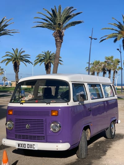 A two-tone purple and white Volkswagen Type 2 (Bay Window) camper van is parked outdoors on a paved surface, partially covered in gravel, under a clear blue sky in M'diq, Morocco. The vehicle displays a United Kingdom license plate, "WX10 DXC," on its front bumper. The front of the van features a chrome VW emblem on a purple grille, dual circular headlights, and orange rectangular turn signals. The windshield shows several items on the dashboard, including a small plush monkey toy. The van's roof is white, matching its front and rear bumpers. Numerous tall and medium-sized palm trees are prominent in the mid-ground and background. In the distance to the right, blue streetlights are visible. The Mediterranean Sea is discernible in the background, to the left and right of the van, indicating a coastal location. An orange traffic cone is partially visible in the lower-left foreground. No individuals are present, and no actions or interactions are depicted.