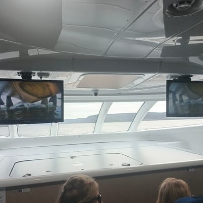 The image shows the interior of a boat, likely a ferry or tour boat. Two Samsung monitors are mounted to the ceiling, displaying a video feed of the boat's underside, specifically the propellers and hull. A security camera is also visible on the ceiling, centered between the two screens. The boat has large, curved windows that offer a view of a body of water and a tree-covered shoreline. The interior is modern and white, with a smooth, molded ceiling and built-in seating areas. Two passengers' heads are visible in the foreground, their faces obscured, suggesting they are facing away from the camera. The overall impression is one of a contemporary passenger vessel. The provided location of Гольяны, Russia, suggests this scene is taking place on a body of water near that area.