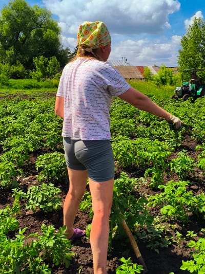 In Ильмино, Russia, a woman wearing a green and yellow patterned headscarf, a white t-shirt with text, and grey shorts stands in a field of green plants. Her right arm is extended, and she is wearing a gardening glove on her right hand, holding a tool. She is facing away from the camera, towards a field of crops. In the background, there are houses with corrugated roofs and a green tractor with a driver. The sky is blue with scattered clouds. The scene depicts agricultural activity on a sunny day.