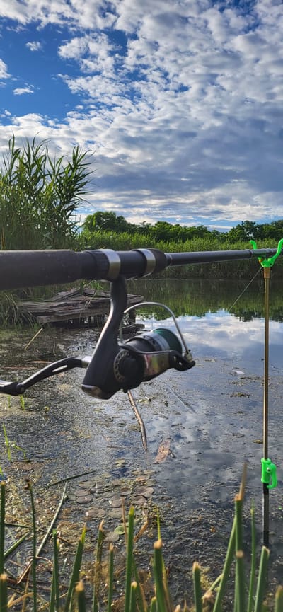 The media file captures a serene fishing scene on a body of water, likely a river or lake, at Hetmanivka, Ukraine. The perspective is from behind a fishing rod, which is prominently featured in the foreground, its reel and handle visible. The rod is angled upwards towards a cloudy sky. Two green rod holders are attached to the fishing rod and another fishing rod in the background.
The water's surface is partially covered with green algae and aquatic plants, with reflections of the sky and surrounding vegetation visible. A line of trees forms a dense green border along the far bank of the water. The sky is a mix of blue and white clouds, suggesting it could be daytime, possibly late afternoon or early morning given the soft light.
In the background, a wooden structure or pier is partially submerged in the water, adding to the rustic charm of the scene. The overall atmosphere is tranquil and peaceful, evoking a sense of calm and relaxation associated with fishing and nature. No people are visible in the frame. The lighting and the reflections on the water suggest a mild, perhaps humid, weather condition. The presence of the fishing rods and reel indicates an ongoing fishing activity.