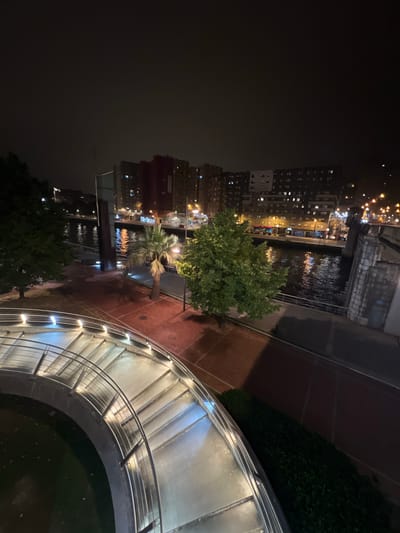 The image depicts a nighttime view of the Nervión River in Bilbao, Spain, with a focus on a contemporary architectural staircase in the foreground. The staircase, made of metal and glass, curves around a dark, reflective surface, possibly a water feature. It is illuminated by soft, embedded lights along its edges, casting a glow on the steps.

Beyond the staircase, a tree-lined walkway runs alongside the river. A prominent palm tree stands near the walkway, contrasting with the deciduous trees on the left and right. The river itself reflects the lights from the buildings lining its banks.

In the background, the cityscape of Bilbao is visible, characterized by multi-story buildings with illuminated windows. The architecture suggests a modern urban setting. A bridge structure with stone pilasters is visible on the right side of the river. The overall scene is serene and urban, illuminated by artificial lights under a dark night sky.