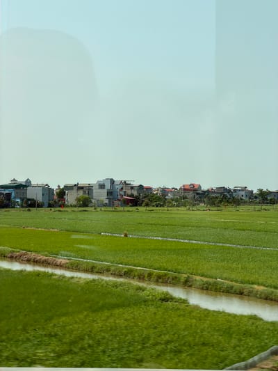 The image displays a panoramic view of a rural or semi-rural landscape in Hải Phòng, Vietnam, under a bright, clear sky. The scene is dominated by vast, verdant green fields, likely rice paddies, stretching across the foreground and mid-ground. Some sections of the paddies show reflections of water, indicating they are actively irrigated. Narrow paths or irrigation channels, some muddy brown and others appearing to be concrete, divide the fields.
Along the horizon, separating the fields from the sky, is a long row of houses, forming a village or small town. These residential buildings vary in size, height, and architectural style, with facades in shades of grey, white, and brown, and some featuring red tile roofs. Lush trees and smaller vegetation are interspersed among and behind the houses, adding greenery to the settlement. Small red flags can be seen near some of the structures.
The sky occupies the upper portion of the image, appearing as a soft, light blue with minimal cloud cover, suggesting fair weather conditions. The lighting is even, indicating it is daytime, possibly late morning or early afternoon. There are no people visible, and no specific activities are taking place, presenting a tranquil and static view of the agricultural and residential landscape. No visible text is present in the image.