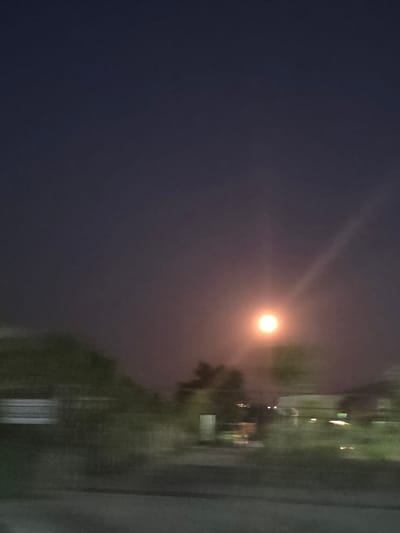 A blurry, low-light image depicts a nocturnal scene, likely captured from a moving vehicle. The sky is a deep, dusky purple, transitioning to a lighter hue near the horizon. A bright, circular object, possibly the moon or a distant light source, is centrally positioned in the upper half of the frame, emitting a reddish-orange glow. A faint, diagonal streak of light extends from this bright object upwards and to the right, suggesting atmospheric conditions or lens flare. The lower half of the image is dominated by blurred, dark green shapes that appear to be trees or foliage. In the mid-ground, indistinct structures, possibly buildings or streetlights, are visible as elongated blurs of light. The overall impression is one of motion and low visibility. The image does not contain any identifiable people, specific urban features, or clear indications of the city of Parvenets, Bulgaria.