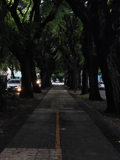 The image captures a long, straight pedestrian walkway in La Plata, Argentina, lined with a dense canopy of trees that create a tunnel-like effect. The walkway has a yellow line running down its length. Cars are parked on the sides of the road, with a white car on the left having its headlights on. In the distance, a person appears to be riding a bicycle. The overall ambiance is dimly lit, suggesting dusk or early evening. The pedestrian walkway is made of patterned tiles.