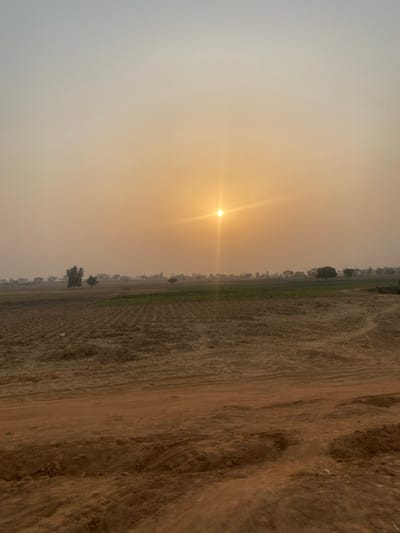 The image shows a landscape during either sunrise or sunset. The sun is positioned centrally in the sky, emitting bright rays through a hazy atmosphere. To the right, a field dominates, displaying a mix of tilled earth and rows of sparse vegetation. Along the horizon, a line of trees is visible, their forms blurred by the distant haze. The sky transitions from a bright golden color around the sun to a lighter, almost white hue towards the edges.