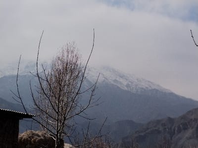 The image depicts a mountainous landscape in Limbur, Uzbekistan. In the central foreground, a leafless deciduous tree with numerous upward-reaching branches stands. To the lower left, a portion of a dark-toned building structure featuring a corrugated metal roof is visible, adjacent to a large bale of straw or hay. The midground and background consist of a layered mountain range. The upper slopes of the most distant peaks are covered in snow, partially obscured by a heavy cloud layer or atmospheric haze. The sky overhead is uniformly overcast. No human or animal figures are visible, and no active events are occurring.